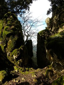 anello gtaq perdu isu