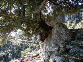 anello gtaq perdu isu