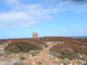 Torre Cala DOmestica