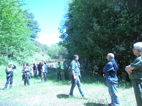 Montesa c ed amb forestas