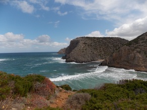 nebida masua cala domestica