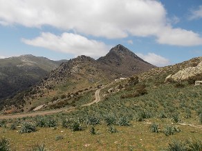 Passo caravai Genn' bentu