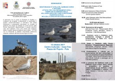 Seminario Gabbiano Corso 1