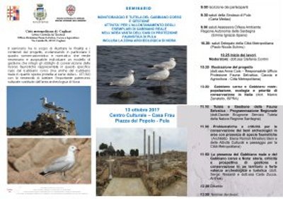 Seminario Gabbiano Corso 1