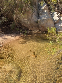 anello rio palaceris