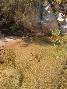 anello rio palaceris