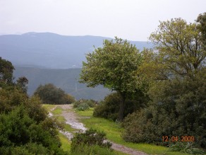 Cerva Acqua Callenti