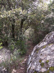 verso Nuraghe su Gattu