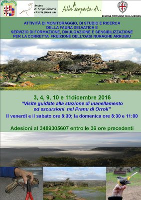 loc orroli dic2016