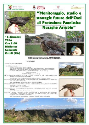 locandina seminario orroli 2016