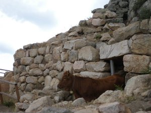 nuraghe orruinas