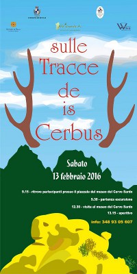 cerbus