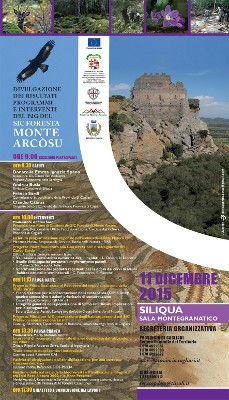 siliqua locandina